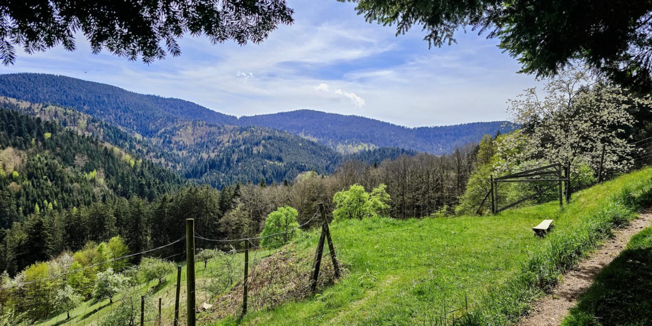 Ansicht Wanderweg Himmelssteig
