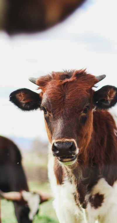 kylee-alons-suQ-D-9dmVU-unsplash