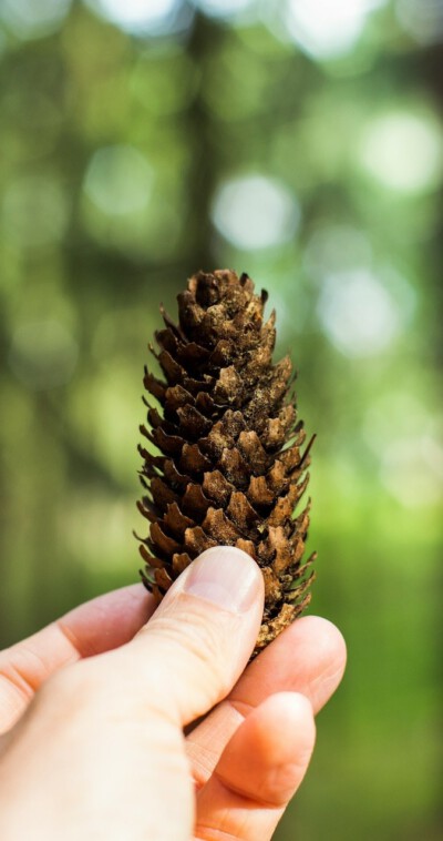 markus-spiske-Q4yk7kDvEto-unsplash